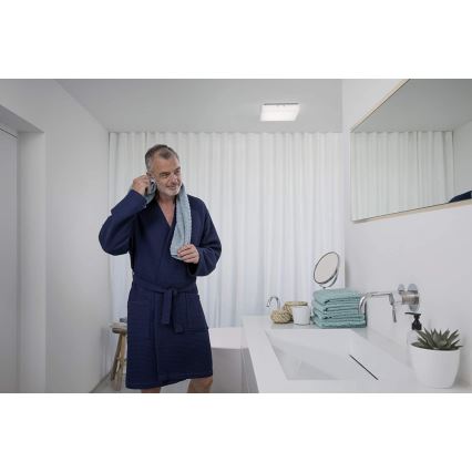 Ledvance - Светодиодный потолочный светильник LUNIVE LED/19W/230V