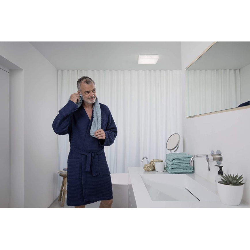 Ledvance - Светодиодный потолочный светильник LUNIVE LED/19W/230V