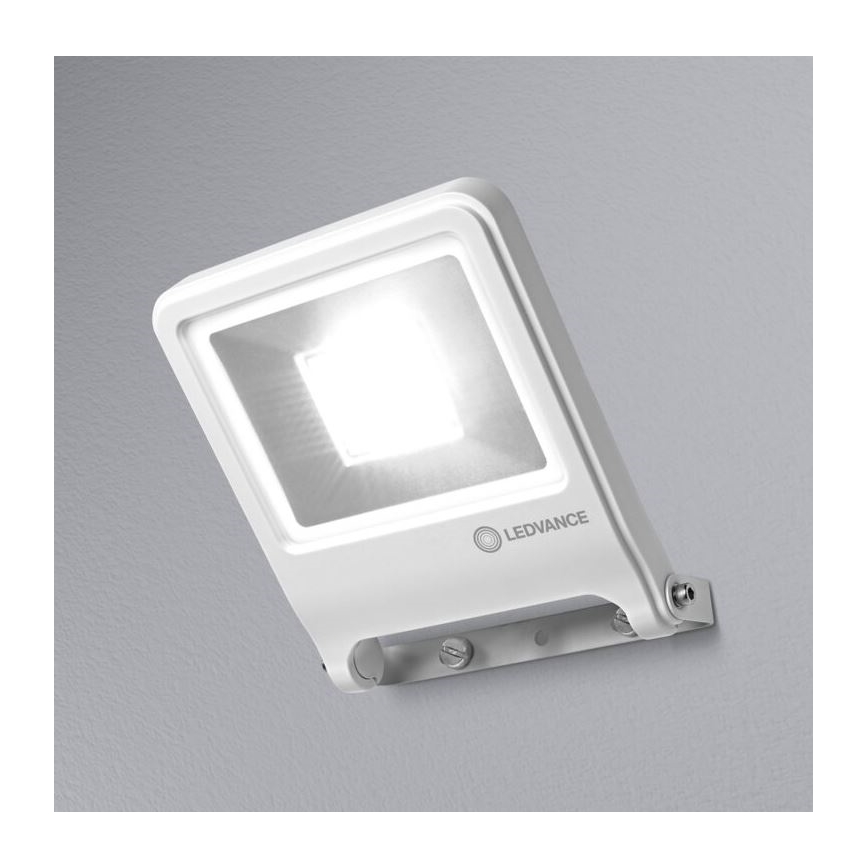 Ledvance - Светодиодный прожектор ENDURA LED/50W/230V IP65