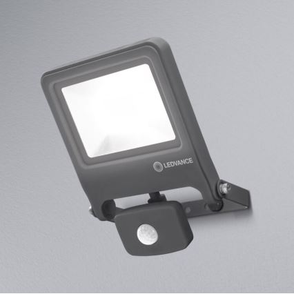 Ledvance - Светодиодный прожектор с датчиком ENDURA LED/30W/230V IP44