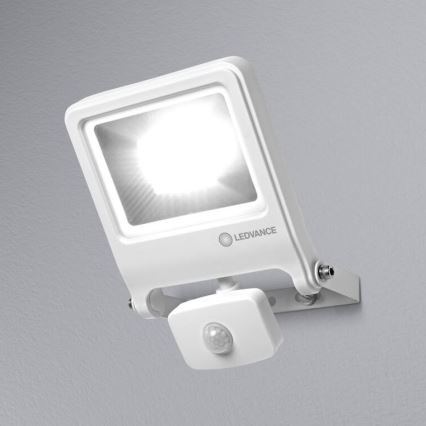 Ledvance - Светодиодный прожектор с датчиком ENDURA LED/30W/230V IP44