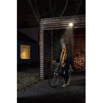 Ledvance - Светодиодный прожектор с датчиком ENDURA LED/50W/230V IP44