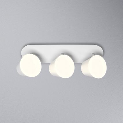 Ledvance - Светодиодный точечный светильник для ванной комнаты SPOT 3xLED/7W/230V IP44 3000/4000K CRI 90 Ra