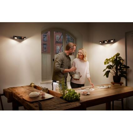 Ledvance - Светодиодный точечный светильник DECOR PLUTO 2xLED/4,8W/230V