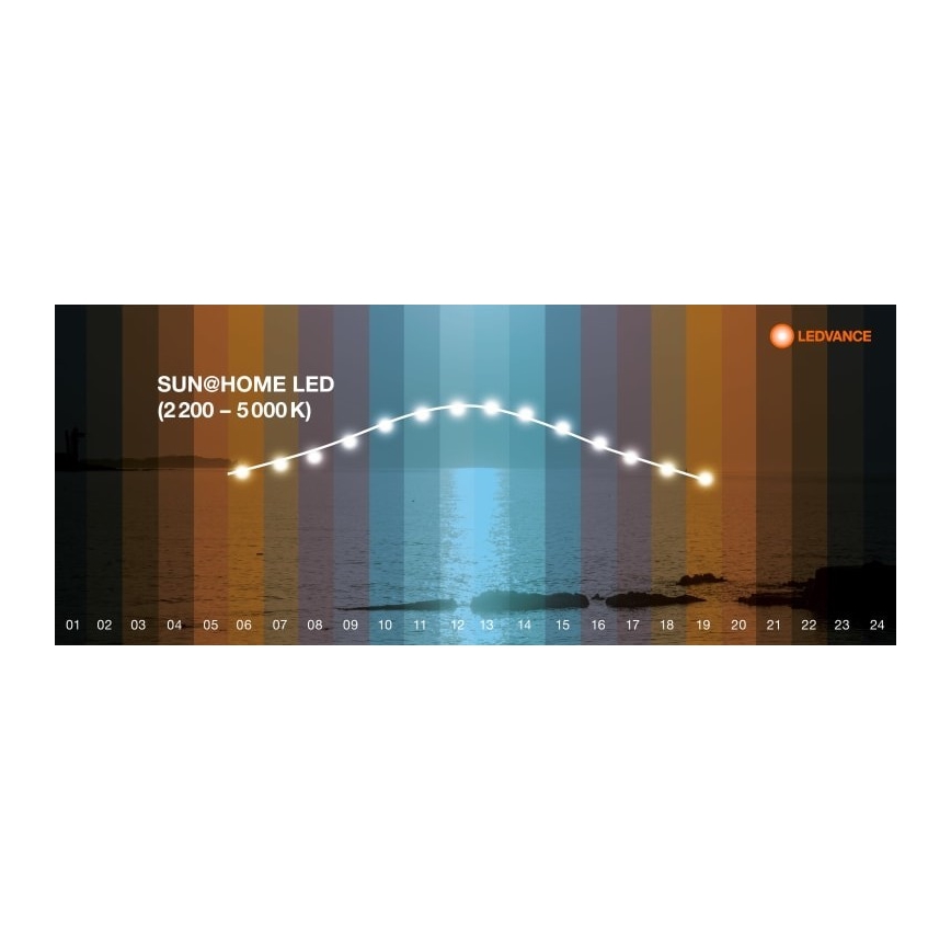 Ledvance - Светодиодный торшер с регулированием яркости SUN@HOME LED/36W/230V 2200-5000K CRI 95 Wi-Fi
