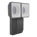 Ledvance - Светодиодный уличный настенный светильник с датчиком SPOT 2xLED/8W/230V IP55