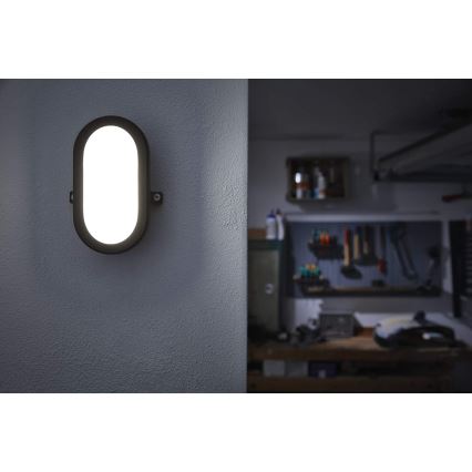 Ledvance - Светодиодный уличный настенный светильник BULKHEAD LED/6W/230V IP54 черный