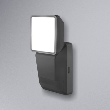 Ledvance - Светодиодный уличный настенный светильник с датчиком  SPOT LED/8W/230V IP55 черный