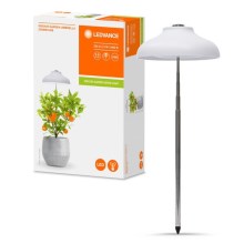 Ledvance - Светодиодная лампа для растений GARDEN LIGHT LED/5W/5V