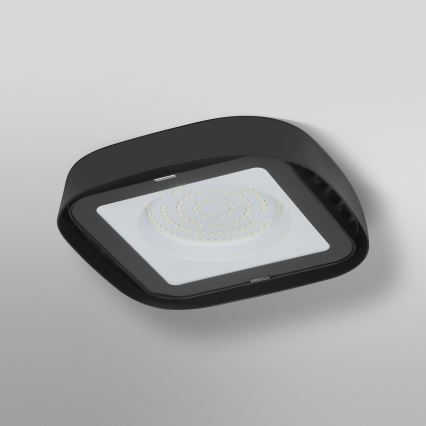 Ledvance - Світлодіодний стельовий промисловий світильник HIGHBAY LED/80W/230V IP65 6500K
