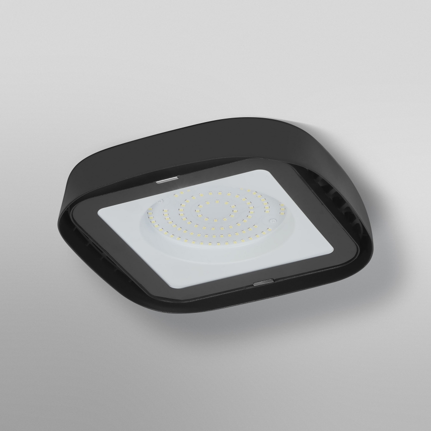 Ledvance - Світлодіодний стельовий промисловий світильник HIGHBAY LED/80W/230V IP65 6500K