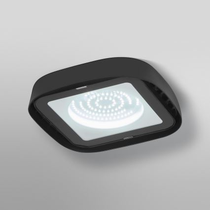 Ledvance - Світлодіодний стельовий промисловий світильник HIGHBAY LED/80W/230V IP65 6500K