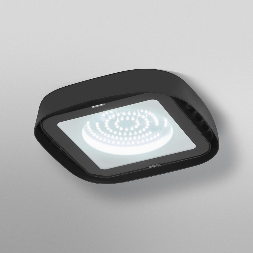 Ledvance - Світлодіодний стельовий промисловий світильник HIGHBAY LED/80W/230V IP65 6500K