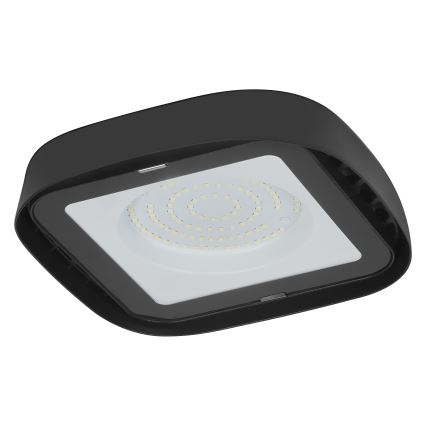 Ledvance - Світлодіодний стельовий промисловий світильник HIGHBAY LED/80W/230V IP65 6500K