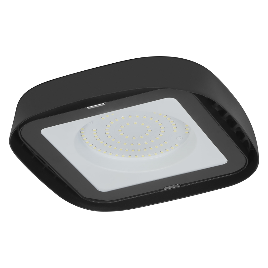 Ledvance - Світлодіодний стельовий промисловий світильник HIGHBAY LED/80W/230V IP65 6500K