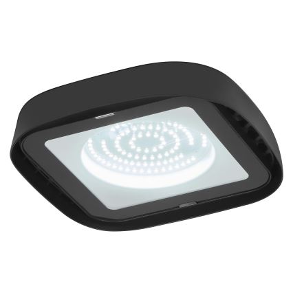 Ledvance - Світлодіодний стельовий промисловий світильник HIGHBAY LED/80W/230V IP65 6500K