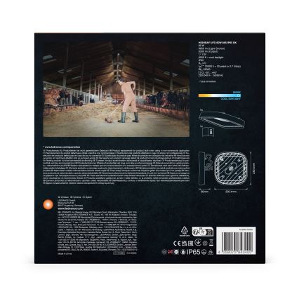 Ledvance - Світлодіодний стельовий промисловий світильник HIGHBAY LED/80W/230V IP65 6500K