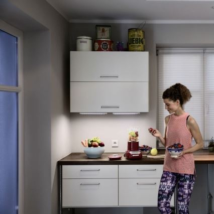 Ledvance - Світлодіодний світильник для підсвітки стільниці TURN LED/10W/230V