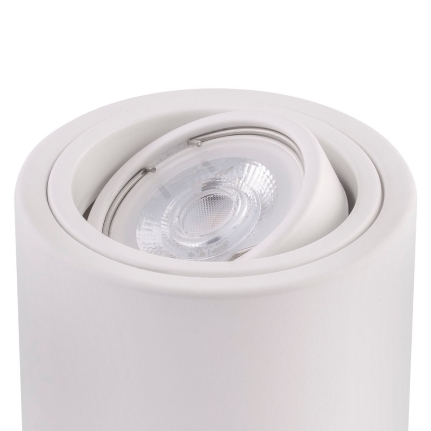 Ledvance - Точковий світильник TUBA 1xGU10/50W/230V