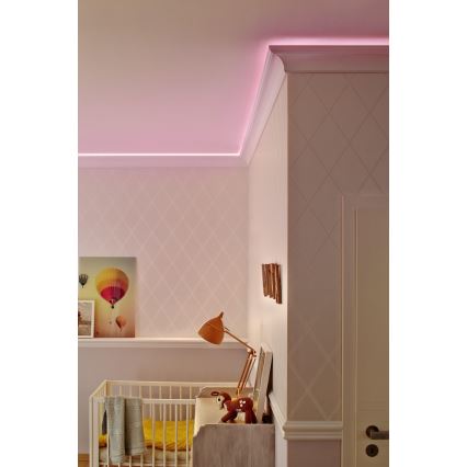 Ledvance - Уличная светодиодная лента FLEX 3 м LED/19W/230V IP44