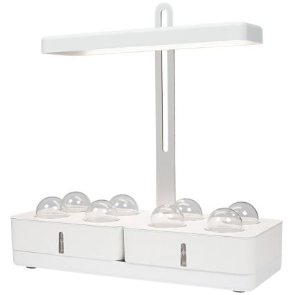 Ledvance - Внутрішня LED лампа GARDEN KIT LED/24W/230V