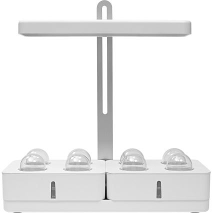 Ledvance - Внутрішня LED лампа GARDEN KIT LED/24W/230V