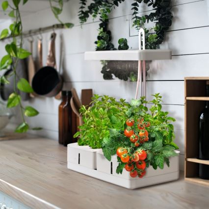 Ledvance - Внутрішня LED лампа GARDEN KIT LED/24W/230V