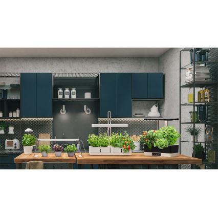 Ledvance - Внутрішня LED лампа GARDEN KIT LED/24W/230V