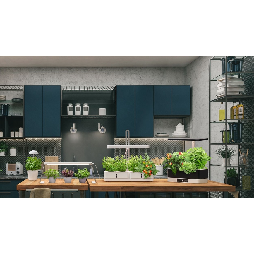Ledvance - Внутрішня LED лампа GARDEN KIT LED/24W/230V