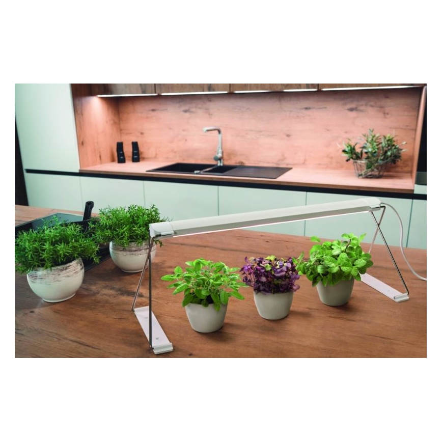 Ledvance - Внутрішня LED лампа GARDEN LIGHT LED/14W/230V