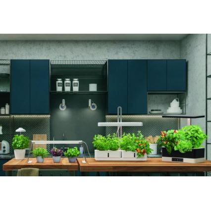 Ledvance - Внутрішня LED лампа GARDEN LIGHT LED/14W/230V