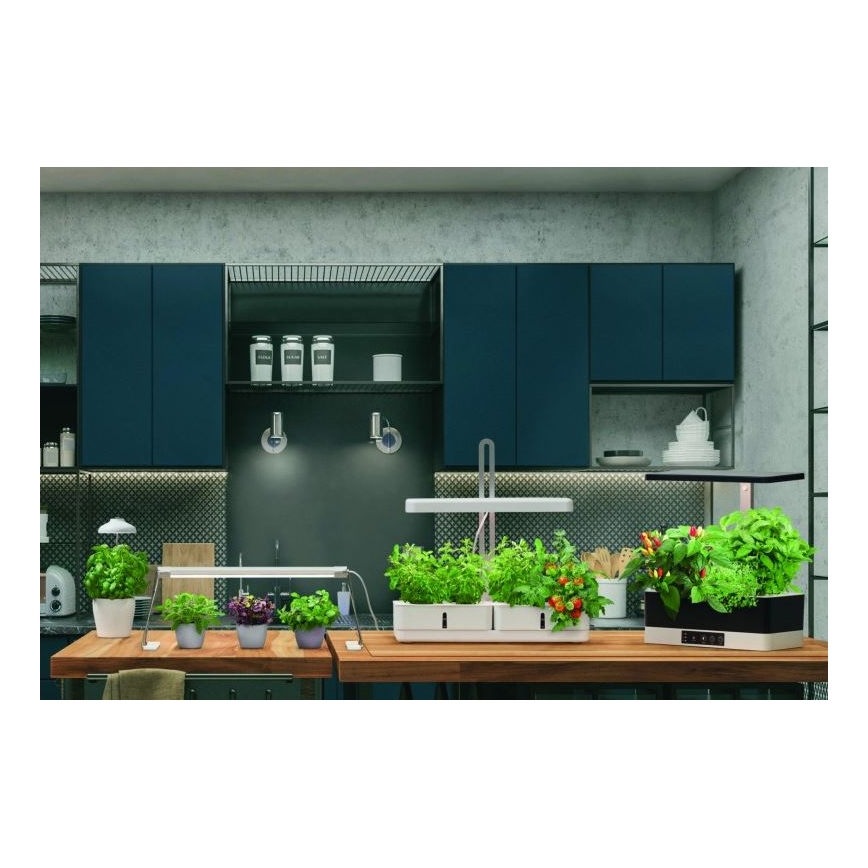 Ledvance - Внутрішня LED лампа GARDEN LIGHT LED/14W/230V