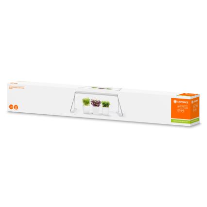 Ledvance - Внутрішня LED лампа GARDEN LIGHT LED/14W/230V