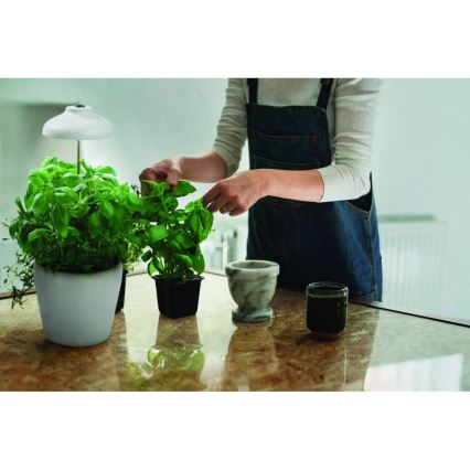 Ledvance - Внутрішня LED лампа GARDEN LIGHT LED/5W/5V