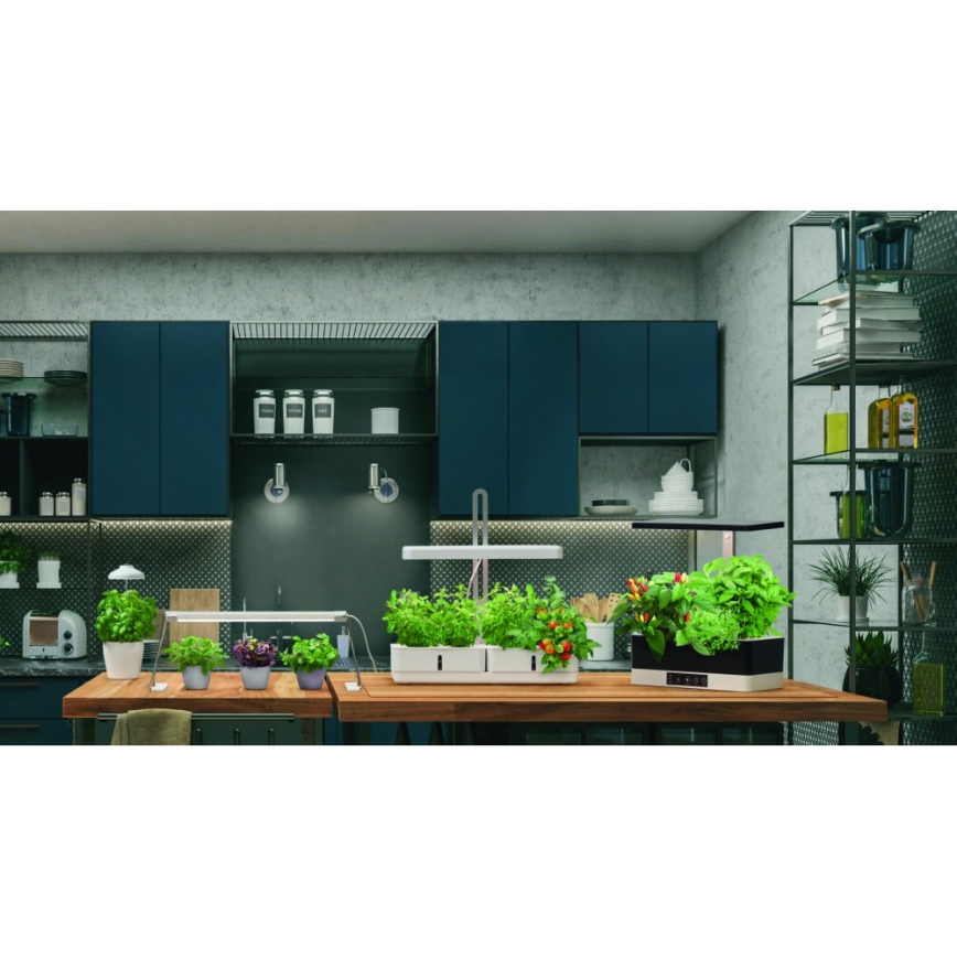 Ledvance - Внутрішня LED лампа GARDEN LIGHT LED/5W/5V