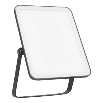 Ledvance - Вуличний настінний LED прожектор FLOODLIGHT LED/30W/230V 6500K IP65