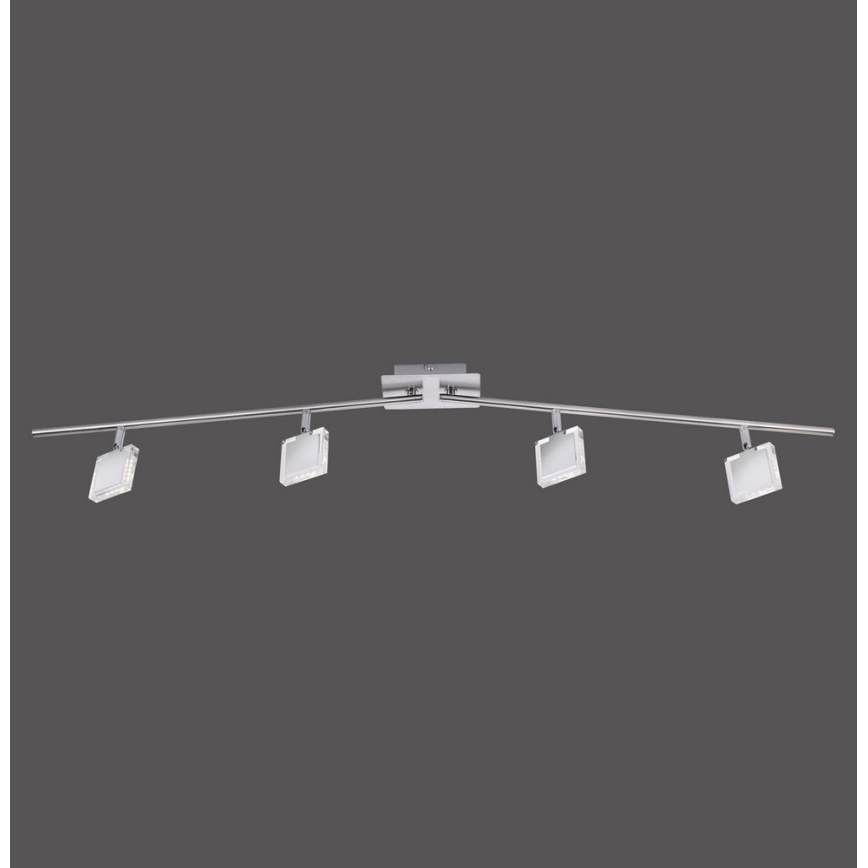 Leuchten Direkt 11084-55 - Точковий LED світильник TONY 4xLED/4W/230V