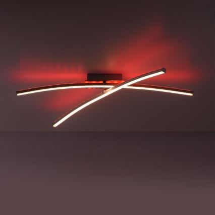 Leuchten Direkt 11255-55 - Светодиодная диммируемая поверхностно-монтируемая RGB-люстра ALINA 2xLED/8,1W/230V 2700-5000K + пульт ДУ