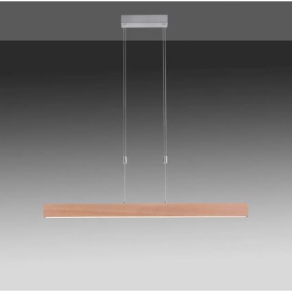 Leuchten Direkt 11420-78 - Підвісна LED люстра з регулюванням яскравості AMANDA LED/30W/230V