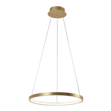 Leuchten Direkt 11522-12 - Світлодіодна підвісна люстра CIRCLE LED/19W/230V