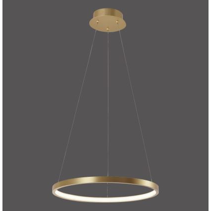 Leuchten Direkt 11522-12 - Світлодіодна підвісна люстра CIRCLE LED/19W/230V
