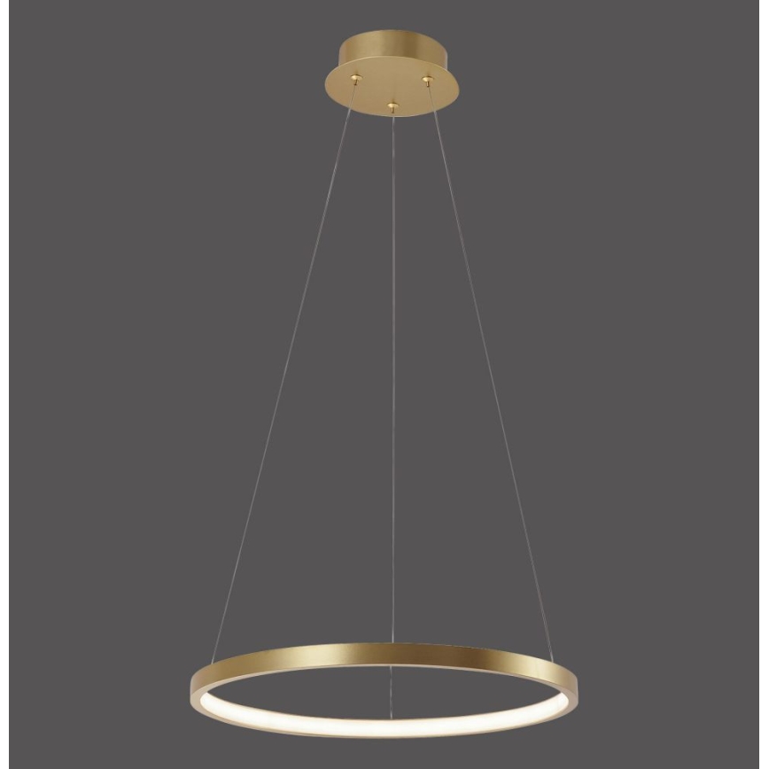 Leuchten Direkt 11522-12 - Світлодіодна підвісна люстра CIRCLE LED/19W/230V