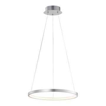 Leuchten Direkt 11522-21 - Светодиодная люстра на тросе CIRCLE LED/19W/230V