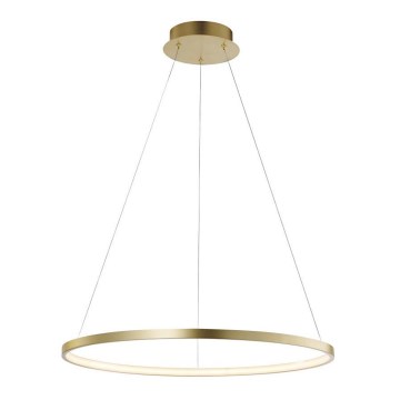 Leuchten Direkt 11524-12 - Светодиодная люстра на тросе CIRCLE LED/28,5W/230V