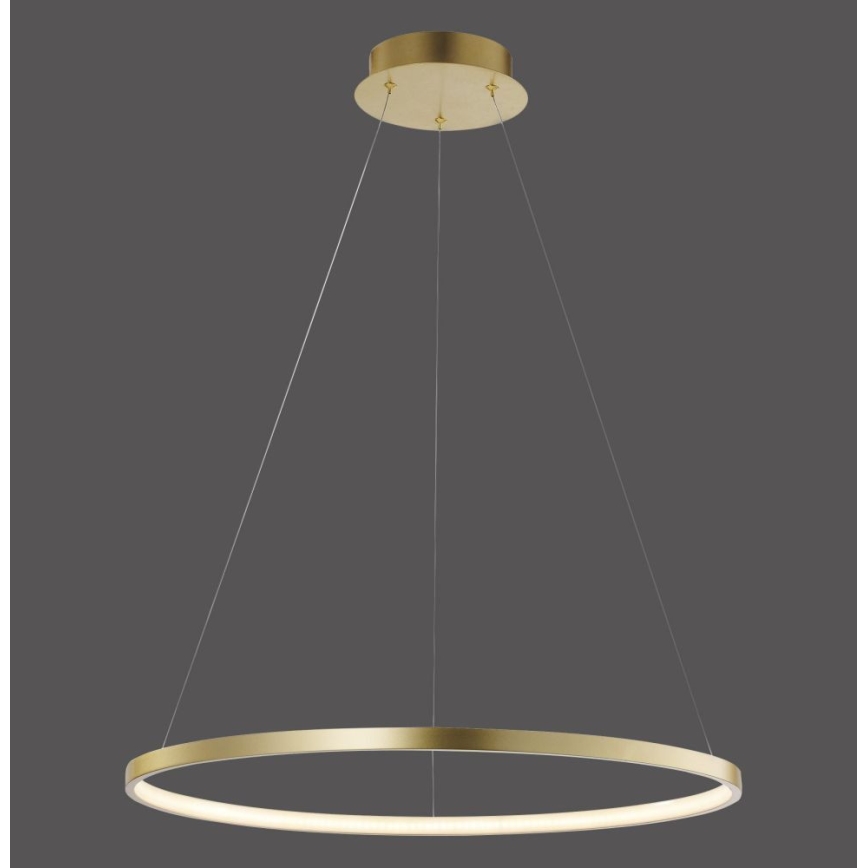 Leuchten Direkt 11524-12 - Світлодіодна підвісна люстра CIRCLE LED/28,5W/230V