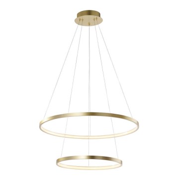 Leuchten Direkt 11525-12 - Светодиодная подвесная люстра CIRCLE 1xLED/18,5W/230V + LED/23,5W