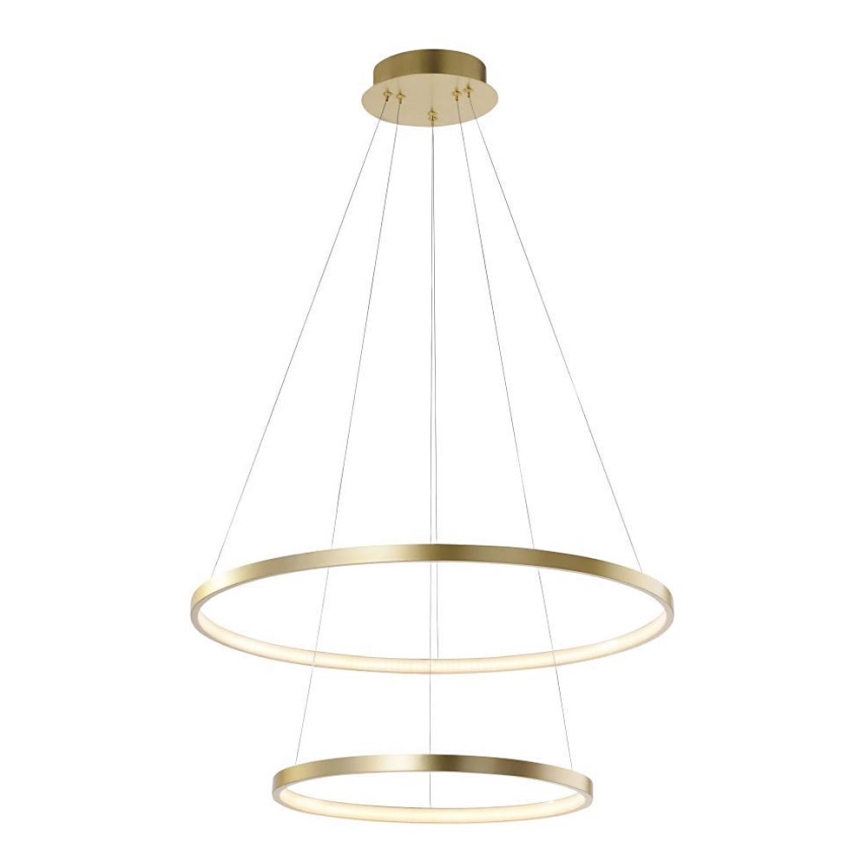 Leuchten Direkt 11525-12 - Светодиодная подвесная люстра CIRCLE 1xLED/18,5W/230V + LED/23,5W