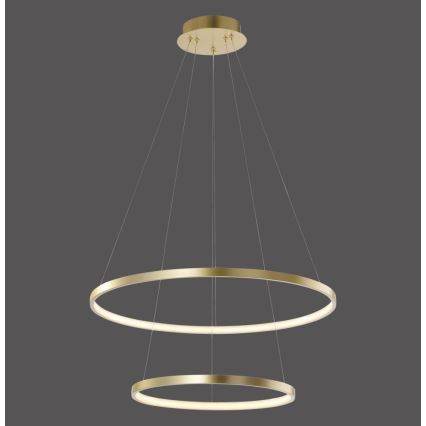 Leuchten Direkt 11525-12 - Светодиодная подвесная люстра CIRCLE 1xLED/18,5W/230V + LED/23,5W