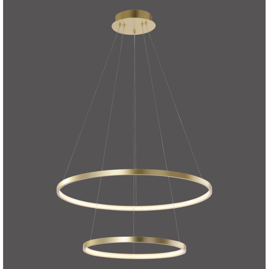 Leuchten Direkt 11525-12 - Светодиодная подвесная люстра CIRCLE 1xLED/18,5W/230V + LED/23,5W