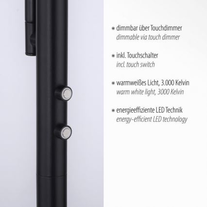 Leuchten Direkt 11710-18 - Светодиодный торшер с регулированием яркости HANS LED/21,5W/230V + LED/4W